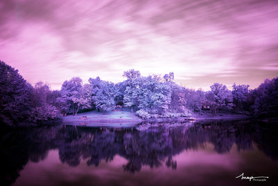 Infrared Photography - Getting Started and What You Need to Know