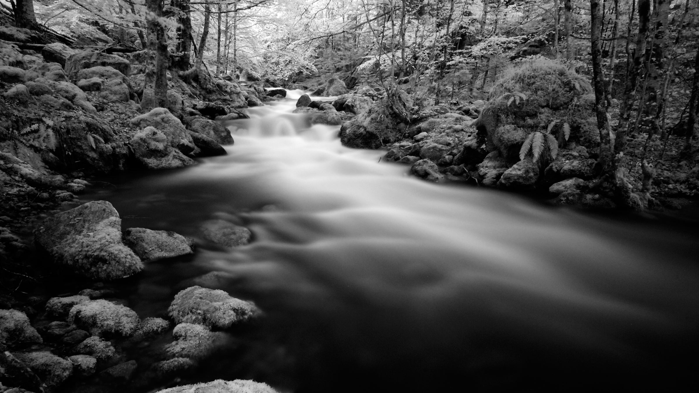 COLONISTA CONPE10 BLACK 黒 ブラック Black & White Filters From Cokin USA – Cokin Filters