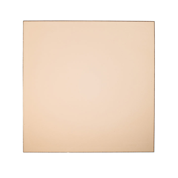 Cokin-P695-Champagne-M-